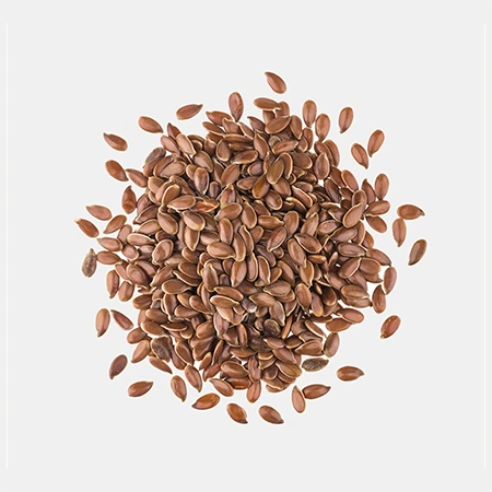 Flax Seeds