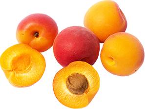 Apricot