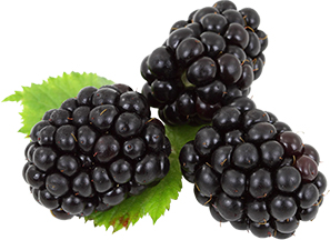 Blackberries