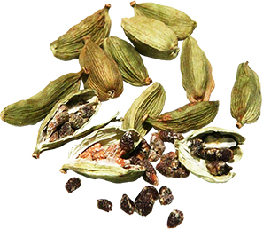 Cardamom