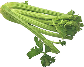 Celery