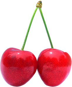 Cherries