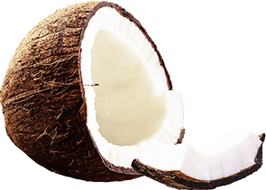 Coconut