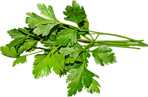 Parsley