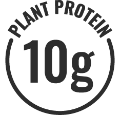 Plant Protein 10g